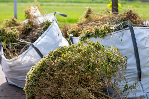 Best Yard Cleanup Services  in Mentone, CA